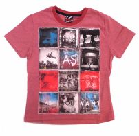 Remera Manga Corta Estampada Skate