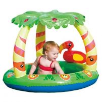 Pileta Inflable con Techo.