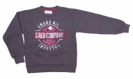 Buzo Frizado Sin Capucha Estampado 