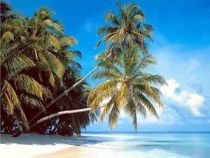 Puzzle / Rompecabezas - 2000 Piezas - Isla Maldivas