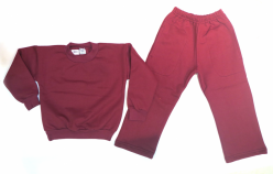Conjunto Jogging pantalon y Buzo Colegial