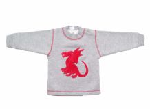 Buzo de Algodon Frizado Con Aplique de Dragon