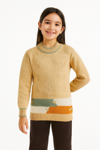 Pullover Sweater Tejido con Rayas y Flor Bordado