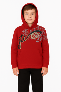 Buzo Frizado Con Capucha Estampado Metalizado