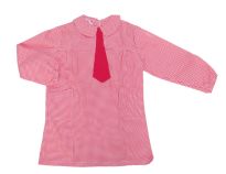 Pintorcito Abrochado Atras