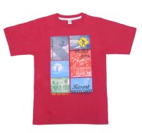 Remera Varón Con Estampado M/C