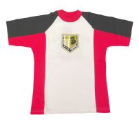 Remera Manga Corta Estampado Escudo con Pelota