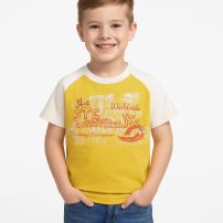 Remera Manga Corta Estampado Worlwide Industries