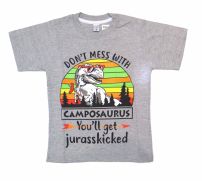 Remera Manga Corta Estampada Dino