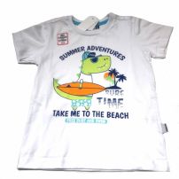 Remera Varon Manga Corta Dinosaurio