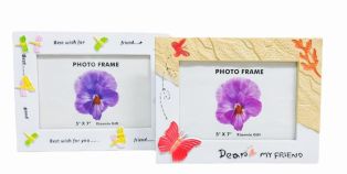 Portarretrato con Mariposas y Libélulas