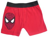 Boxer personaje Spiderman
