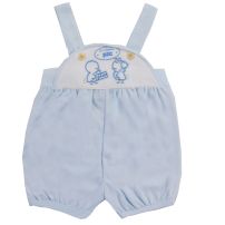 Jardinero bebe celeste 