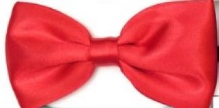 Moños de Vestir Liso