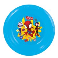 Plato Hondo Bowl Spidey