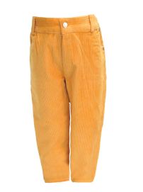 Pantalon de Corderoy Liso