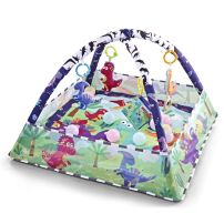 Gimnasio Bebe Didactico Con Pelotero