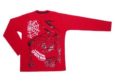 Remera Personaje Spiderman Manga larga