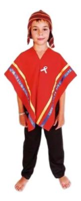 Disfraz Patrio Colla