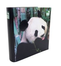 Carpeta N°3 Plastificada 3 Ganchos - Animal Planet