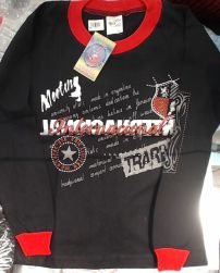 Remera Manga Larga Estampado Escudo y Estrella