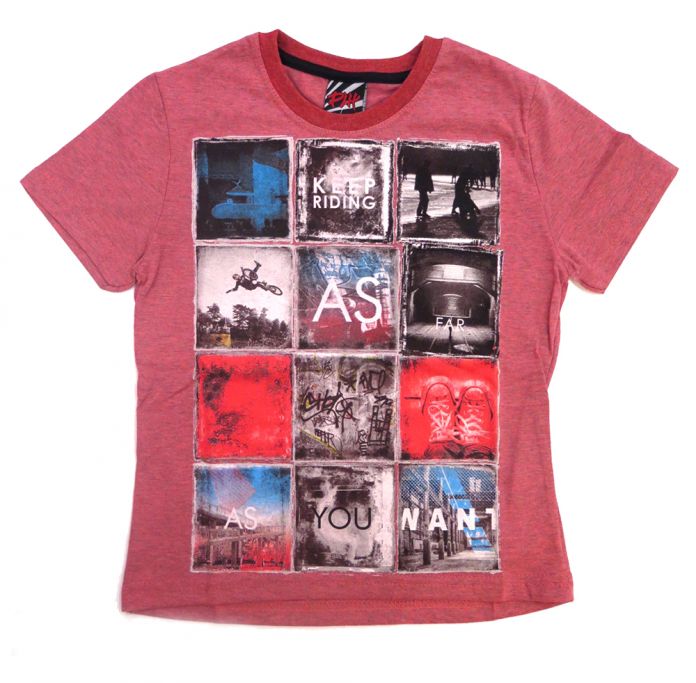 Remera Manga Corta Estampada Skate