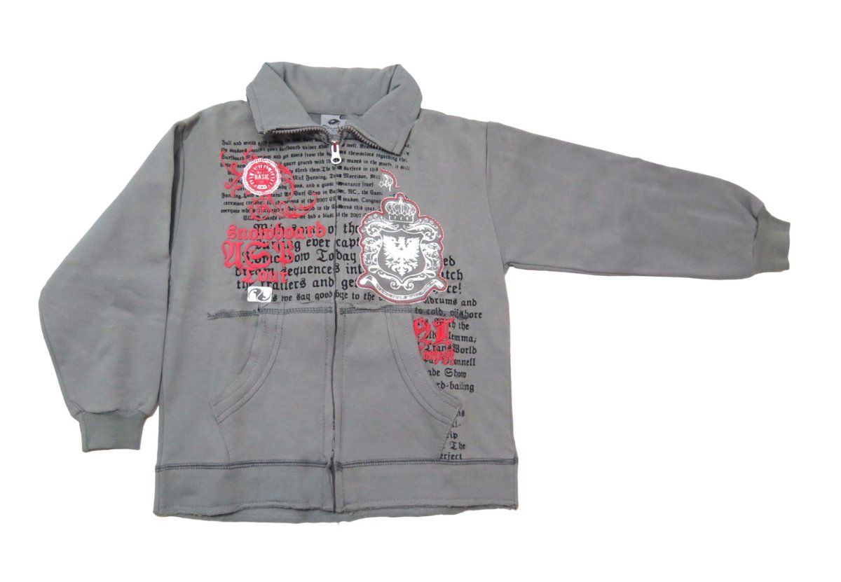 Campera De Algodon Con Friza Sin Capucha Estampado Escudo