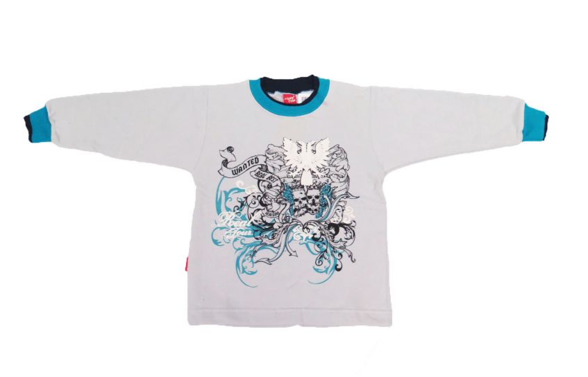 Buzo de Algodon Frizado Sin Capucha Estampado Aguila Calavera