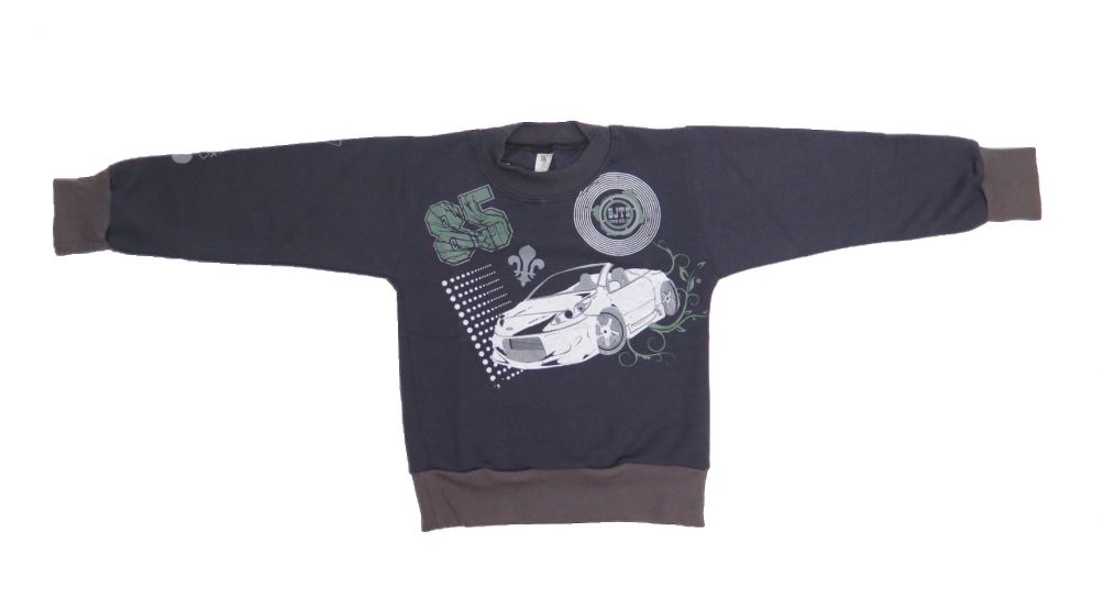 Buzo de Algodon Frizado Sin Capucha Estampado Auto