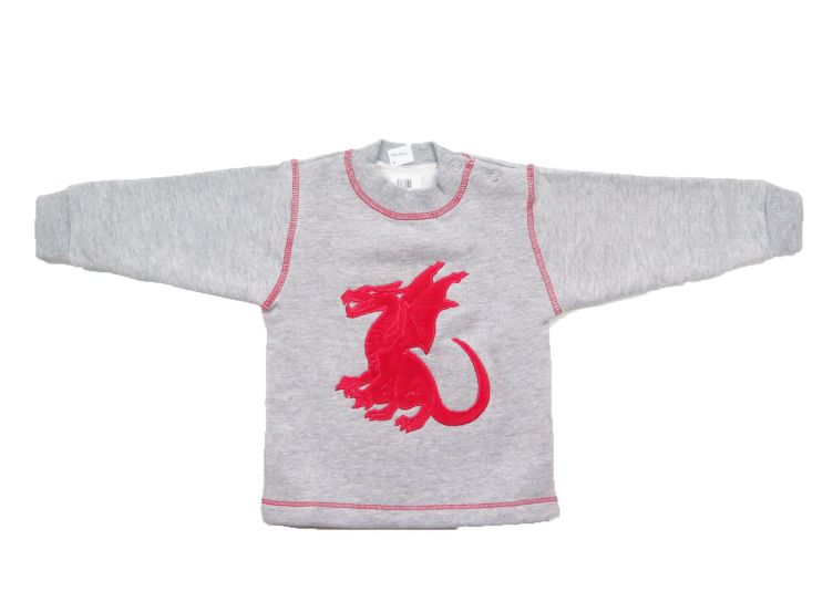 Buzo de Algodon Frizado Con Aplique de Dragon