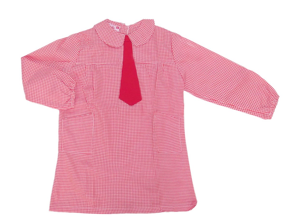 Pintorcito Abrochado Atras