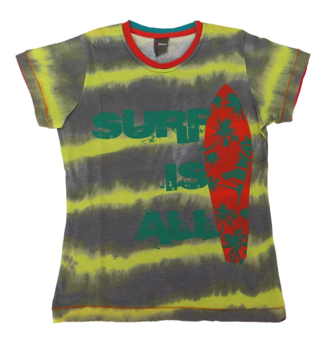 Remera manga corta de varon estampada Surf