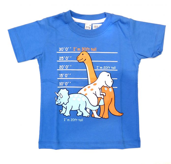 Remera Varón Manga Corta Estampada Dinosaurio