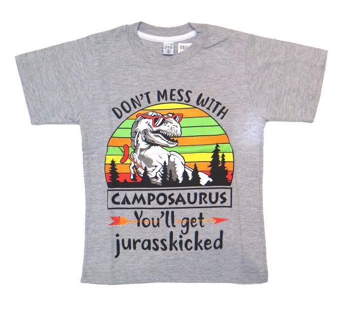 Remera Manga Corta Estampada Dino