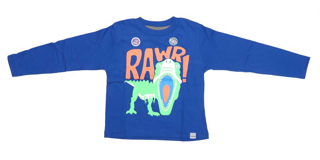 Remera Manga Larga Estampa Dinosaurio