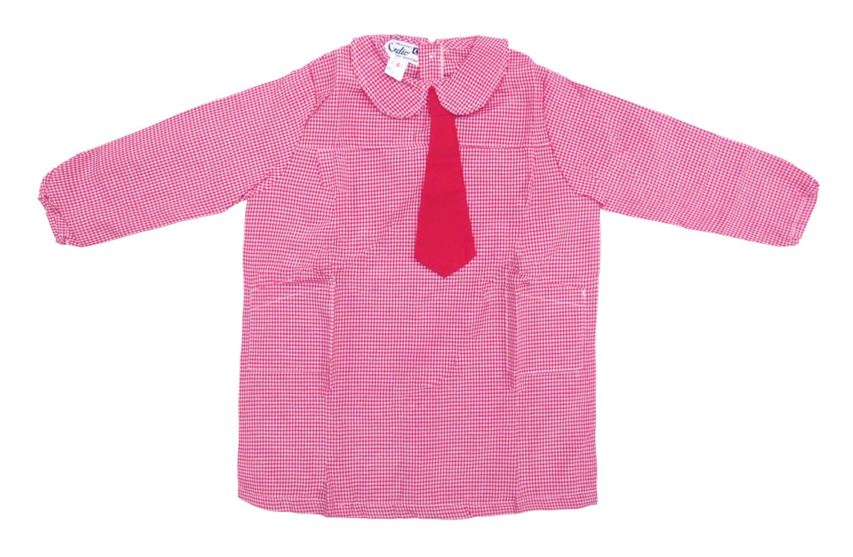 Pintorcito Abrochado atras