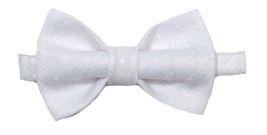 Moño de Vestir  Estampado liso Varon