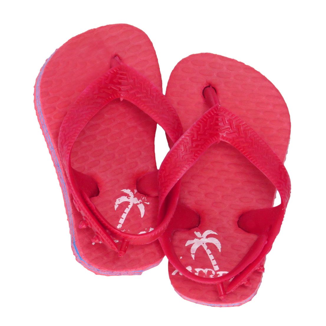 Ojotas con palmera  y  Elastico atras