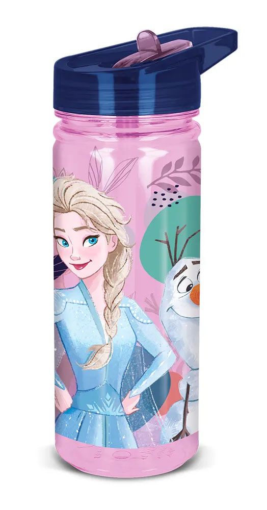 Botella 580ml Large Ecozen Frozen