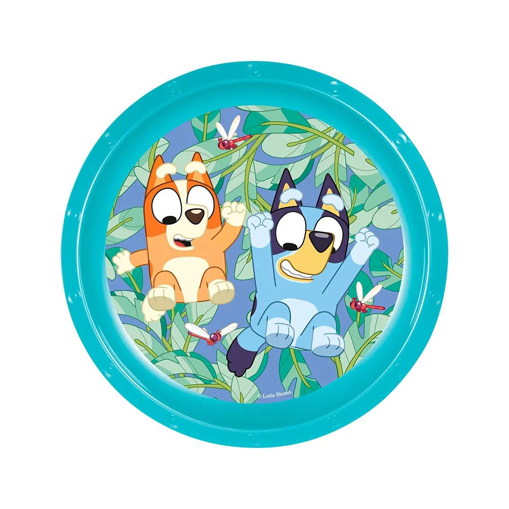 Plato Playo Bluey