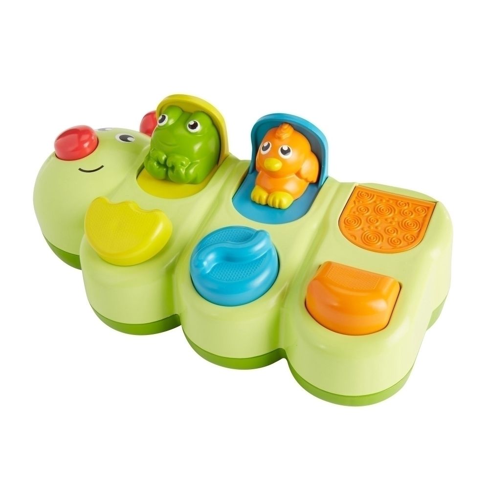 Oruga De Actividades - Didactico - Pop Up