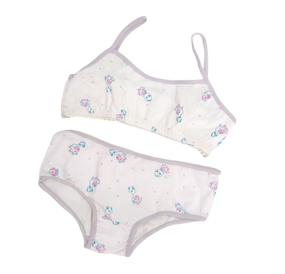 Conjunto Bombacha y corpiño