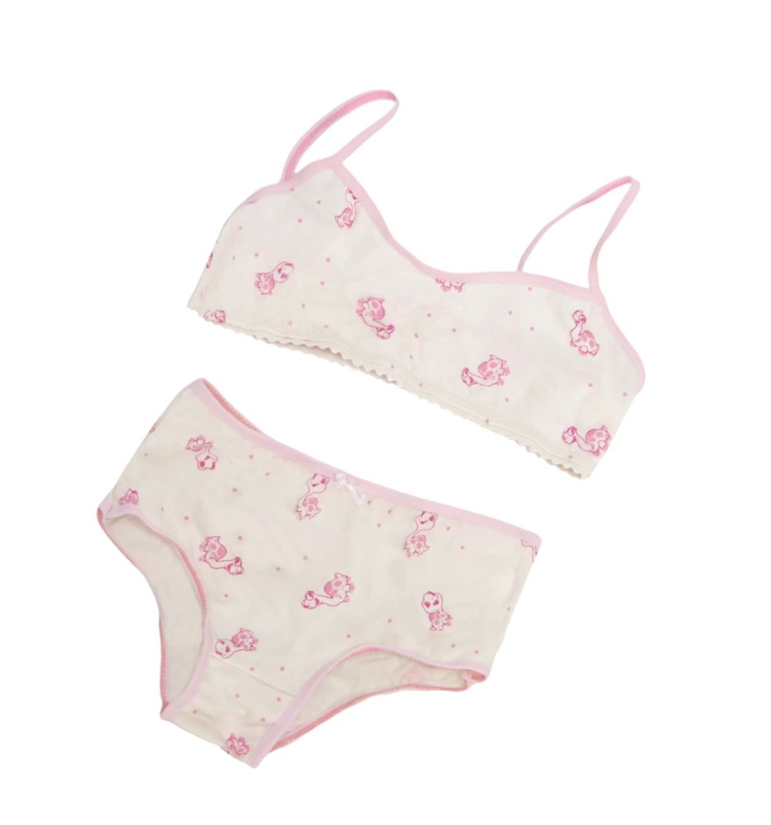 Conjunto Bombacha y corpiño