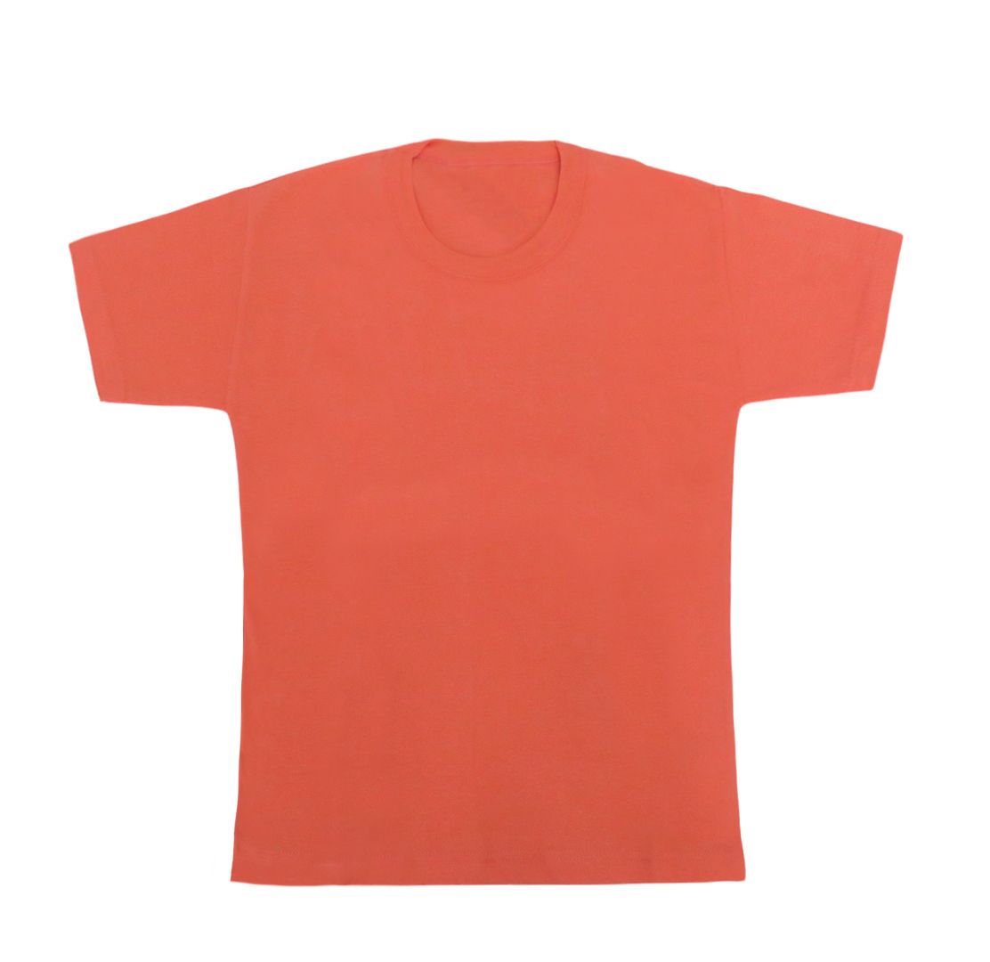 Remera Manga Corta Lisa Color