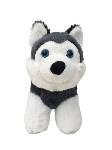 Peluche Perro Husky