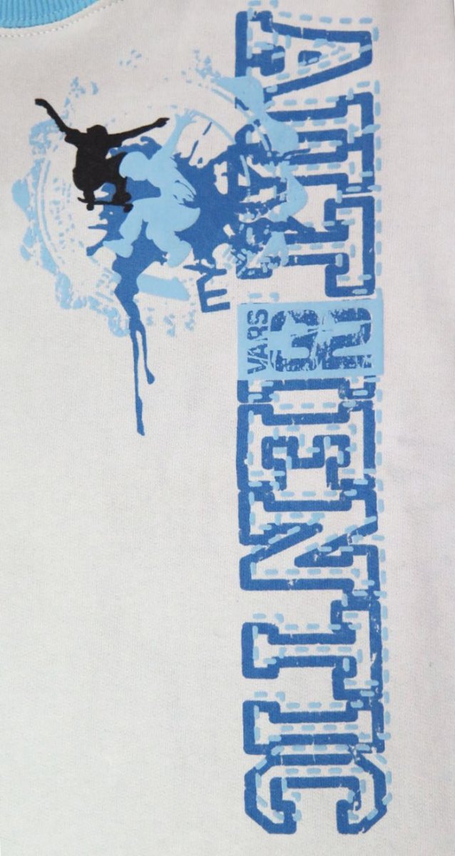 Buzo de Algodon Frizado Estampado Skate