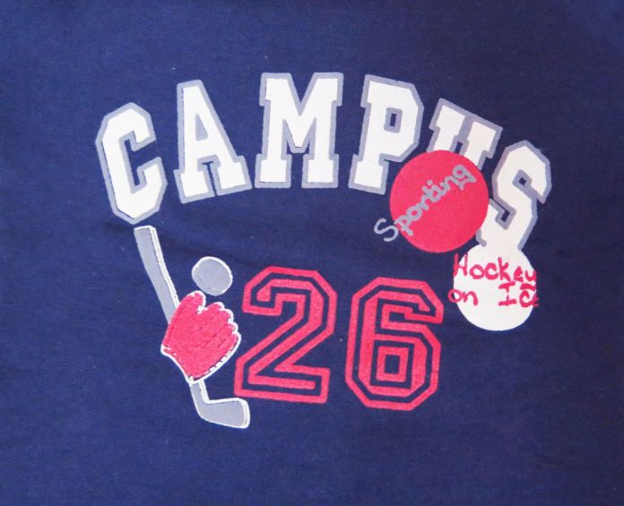 Buzo de Algodon Frizado Sin Capucha Estampado Campus