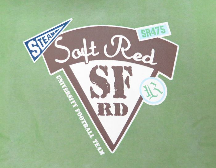 Buzo de Algodon Frizado Sin Capucha Estampado