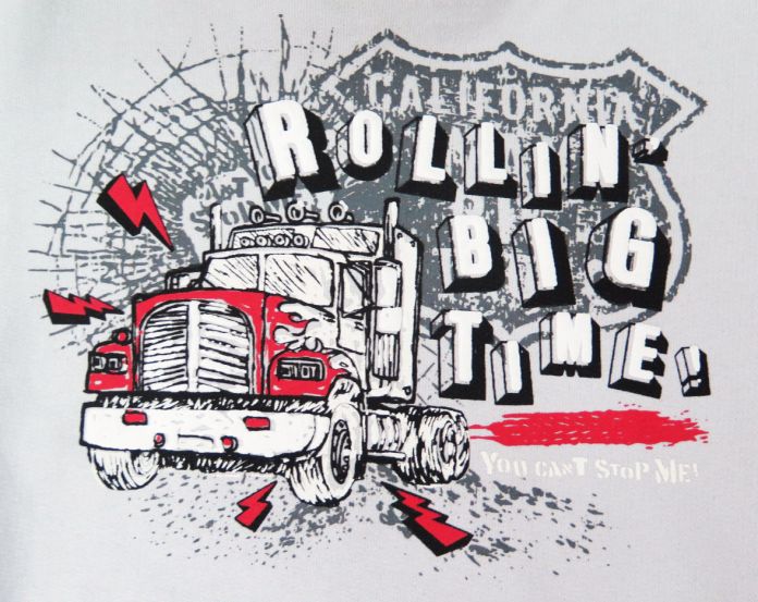 Buzo de Algodon Frizado Sin Capucha Estampado Camion Rolling Big Time