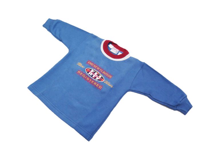 Buzo de Algodon Frizado Sin Capucha Bordado